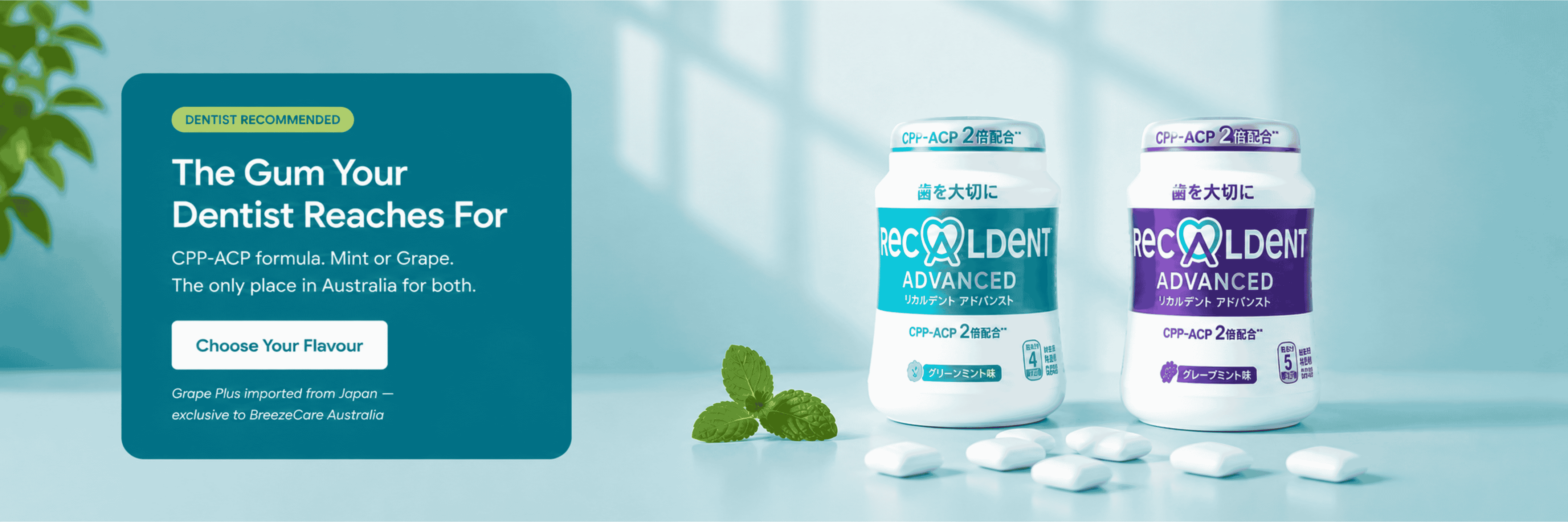 Recaldent Gum