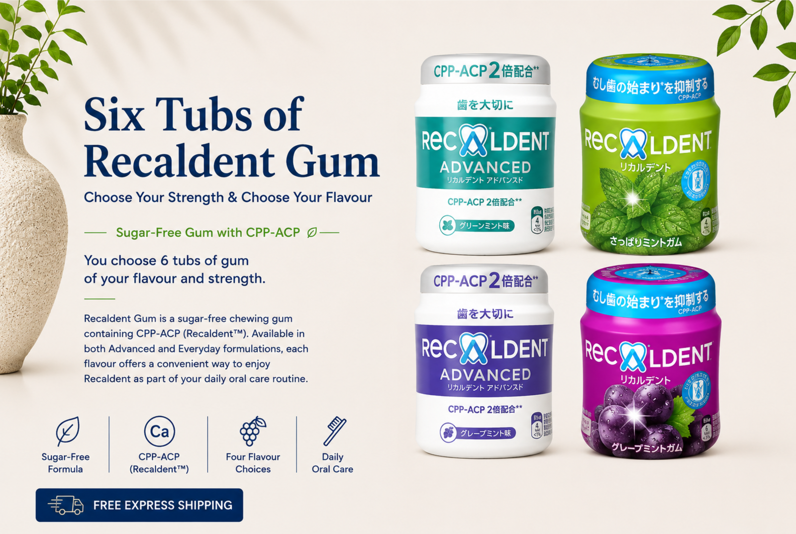 SAVE 25% with Six Recaldent Gum Tubs