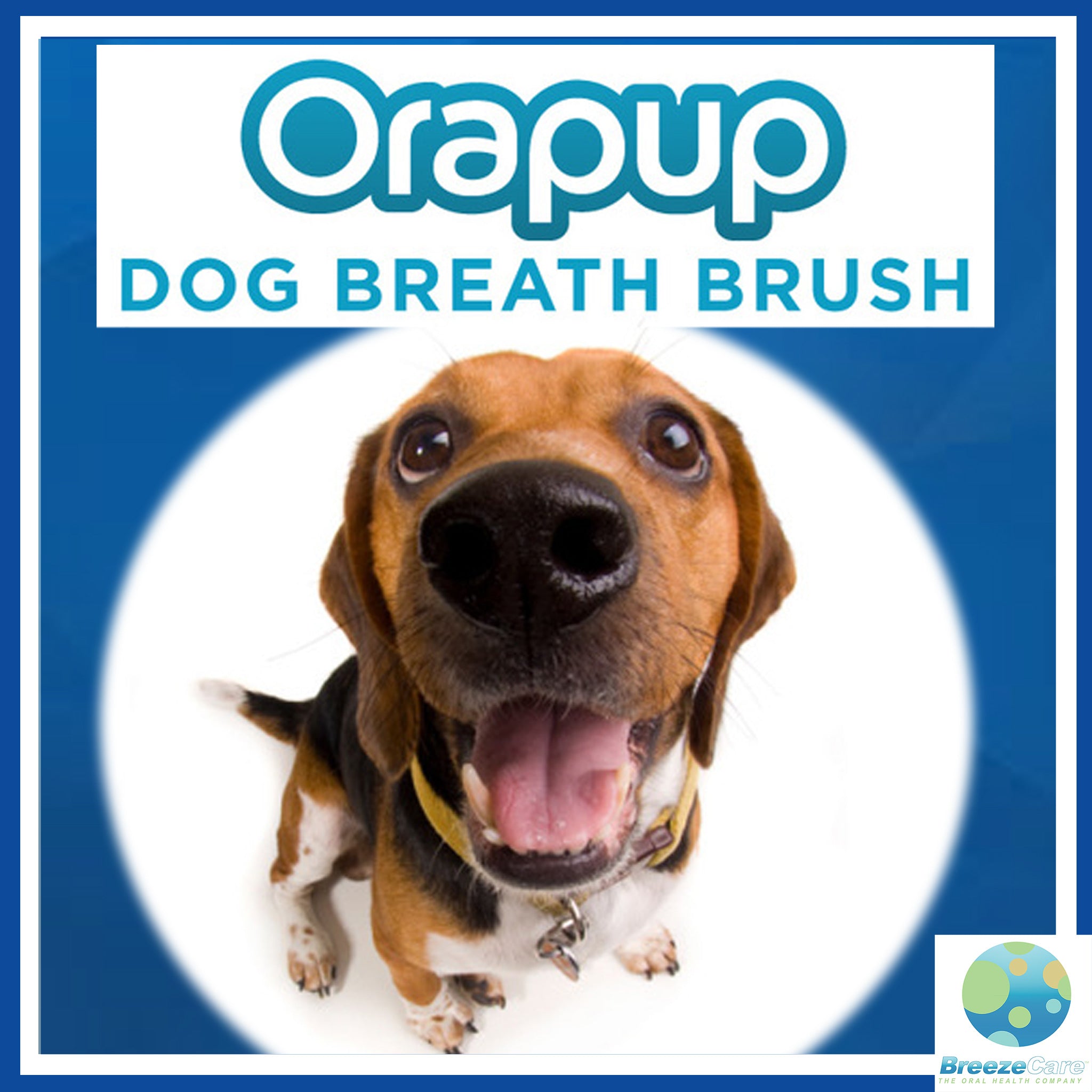  Best Dog Oral Hygiene Products